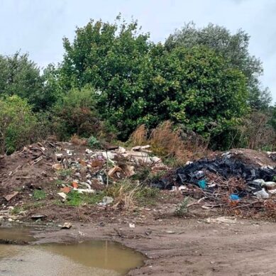 Суд обязал администрацию Гурьевского муниципального округа провести рекультивацию земель полигона отходов в пос. Ильичево