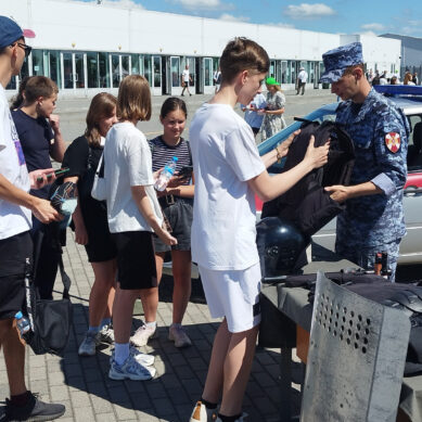 В Калининграде росгвардейцы приняли участие в городском фестивале, посвященном Дню молодежи