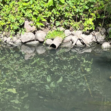 Ручей Парковый очистят от сброса сточных вод