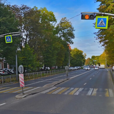 В Калининграде планируют установить дополнительные пешеходные светофоры