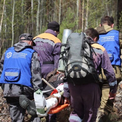 В Калининградскую область съедутся самые опытные волонтеры со всей России