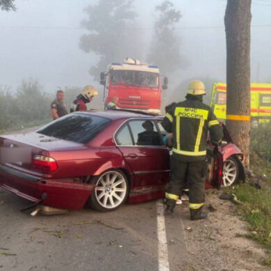 Сегодня утром у поселка Голубево произошло ДТП с пострадавшими