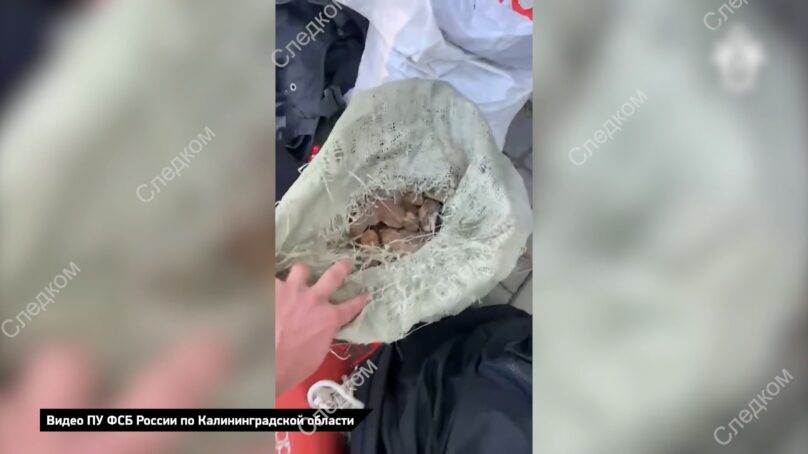 1,5 тонны янтаря-сырца обнаружили правоохранители у нелегальных добытчиков самоцвета в Калининградской области