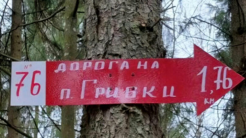 В лесах региона появились стрелки-указатели, которые обозначены на карте в системе 112