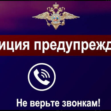 Почти 5 миллионов за 2 дня: калининградцы продолжают отправлять сбережения мошенникам