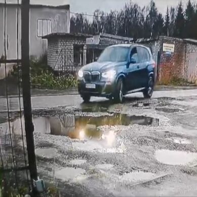 Двое калининградцев незаконно ввезли внедорожник из Чехии на территорию области