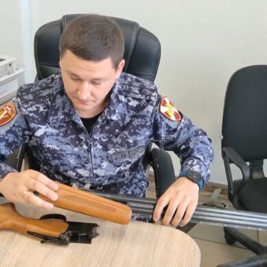 Изъятое у граждан или сданное добровольно оружие и патроны к нему теперь передаются в зону проведения СВО