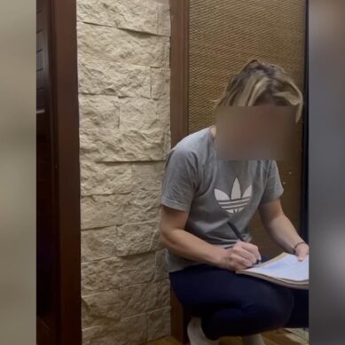 Сотрудница структуры регионального министерства цифровых технологий подозревается в хищении средств