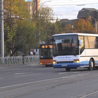 В Калининградской области до конца этого года и весь 2025-й дети из многодетных семей смогут ездить на муниципальном транспорте бесплатно