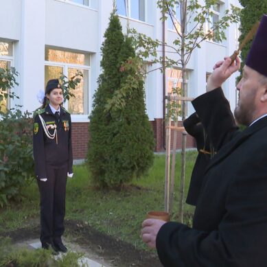 Памятный знак пограничникам открыли на территории 46 школы Калининграда