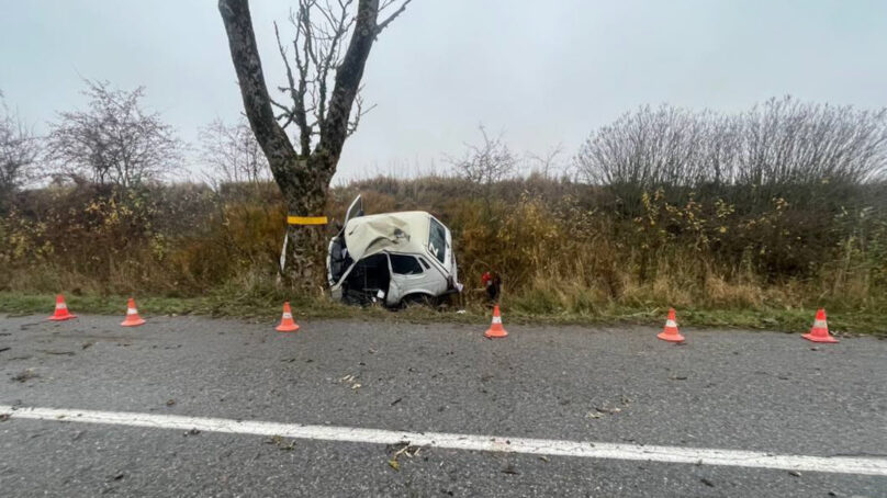 Водитель в Озерском районе врезался в дерево