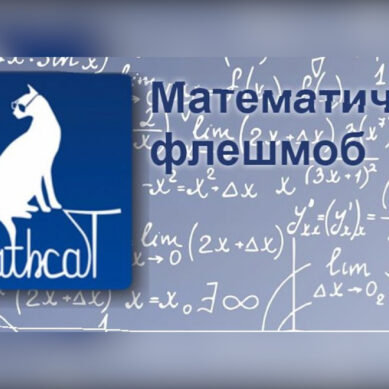 30 ноября пройдет Всероссийский образовательно-развлекательный флешмоб по математике MathCat