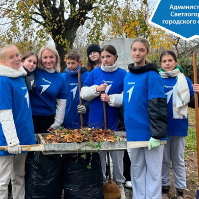 От экопробежек до сбора корма: в Светлогорском округе стартовал Марафон добрых дел