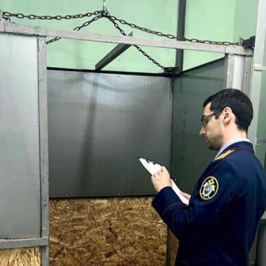 В Калининграде завершено расследование уголовного дела о падении лифта, которое стоило жизни его пассажирке