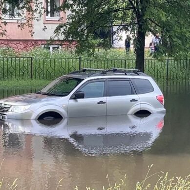 Владельцы утопленных ливнем автомобилей смогут получить первую компенсацию ущерба уже в середине января