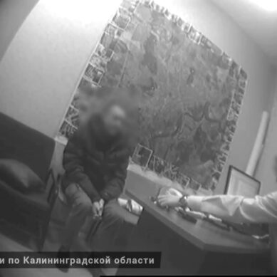 Житель Калининграда пытался подарить сотруднику силовых структур машину и теперь обвиняется в даче взятки в крупном размере