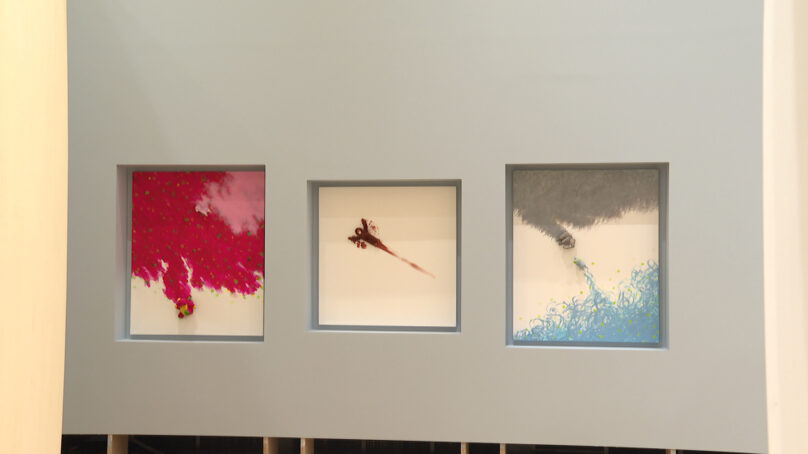 В филиале Третьяковской галереи на острове Октябрьском полным ходом идёт подготовка первых постоянных экспозиций