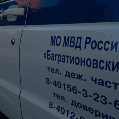 Грабитель разбил похищенную 3-литровую банку меда, убегая с места преступления в поселке Заречное