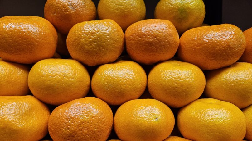 Более 15 тысяч тонн мандаринов экспортировано с начала цитрусового сезона из Абхазии в Россию