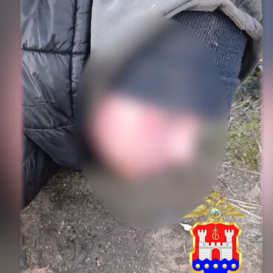 В Калининграде полицейские задержали двоих жителей Гурьевского района, которые пытались сбыть синтетические наркотики