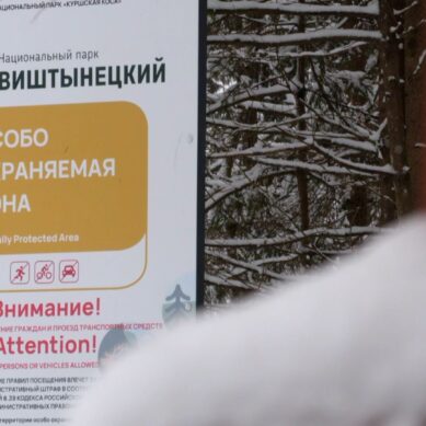 В Красном лесу установлено 100 шлагбаумов, 200 информационных табличек и запрещающих знаков