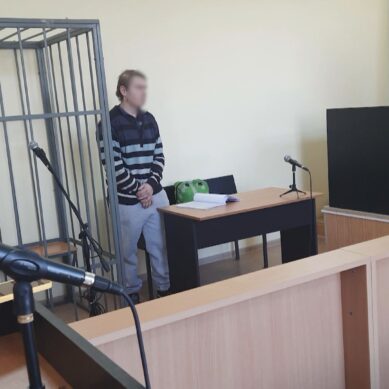 В Калининграде вынесли приговор местному жителю, который издевался над домашними питомцами