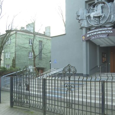 В Калининградской областной детской библиотеке открылась лаборатория «ЗнайЧитай»