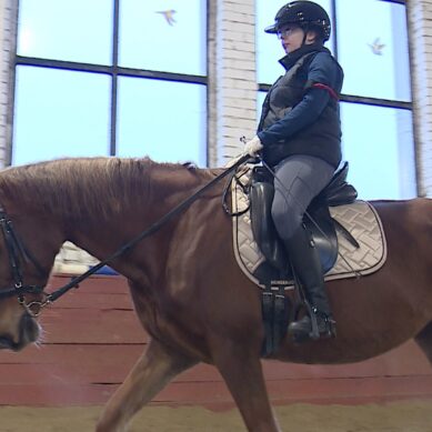 На конно-спортивной базе областной спортшколы по современному пятиборью в посёлке Свободное провели обучающий семинар