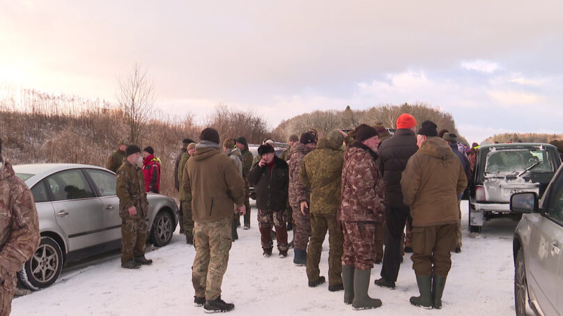 В регионе началась «перепись» лесных зверей. Как считают калининградских зверей, кто принимает участие и причем тут охотники?