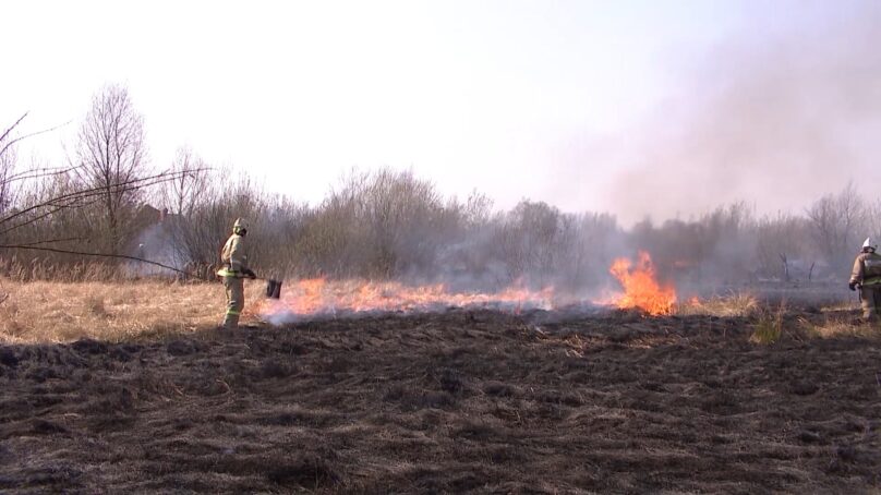 В Калининградской области снова на полях горит трава