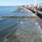 Сегодня, 22 марта, День Балтийского моря