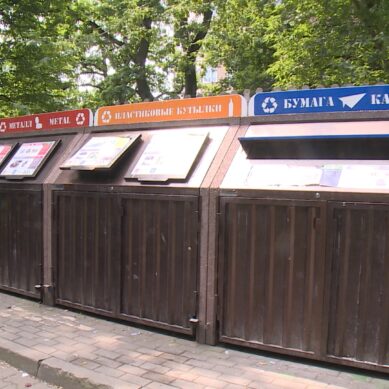 Власти региона планируют упростить сортировку бытовых отходов