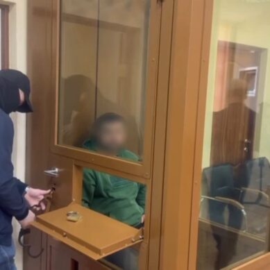 Суд отправил под стражу двух депутатов муниципального совета, которые обвиняются в избиении жительницы посёлка Янтарный