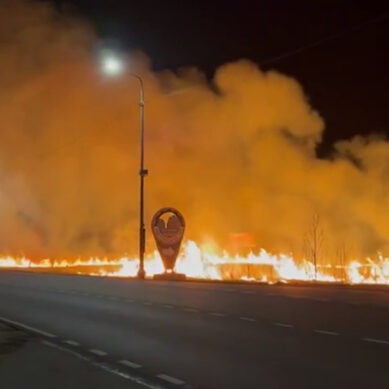 Десятки гектаров полей горят в регионе. Сегодня начинает действовать особый противопожарный режим