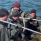 В Калининградский залив на нерест заходит салака. Сколько тонн этой рыбы добывают за месяц?