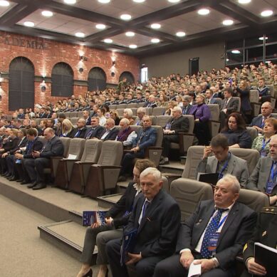 Большая международная конференция проходит в Балтийском федеральном университете имени Канта