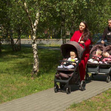 В Калининградской области будут компенсировать молодым родителям часть платы за аренду жилья