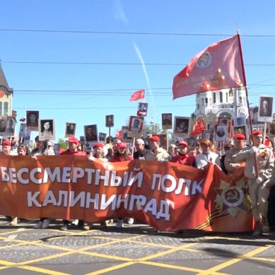 По решению губернатора шествие Бессмертного полка состоится в Калининграде