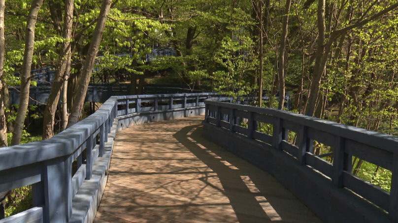 В Пионерском открыли «Круг здоровья»