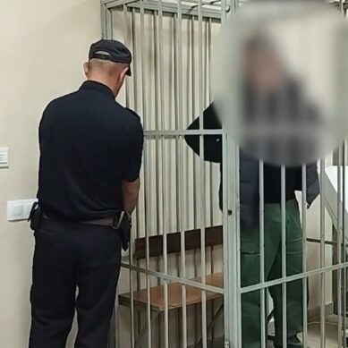 В регионе под стражу заключён человек, которого подозревают в том, что занимал высшее положение в преступной иерархии