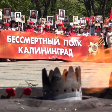 Подробно о мероприятиях, которые пройдут во всей Калининградской области 9 мая
