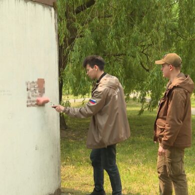 Народный фронт провел рейд в одном из жилых районов, где стены домов стали настоящей «афишей» незаконных сайтов