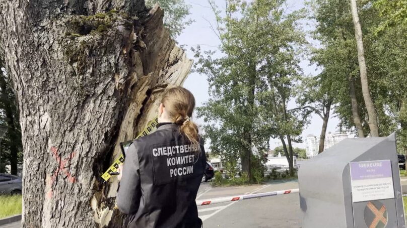 21-летняя девушка, на которую упало дерево в Озёрном проезде, скончалась, не приходя в сознание