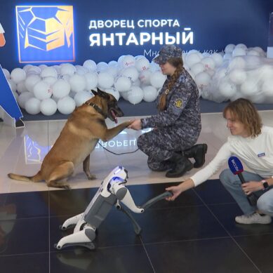 Масштабная всероссийская ярмарка вакансий прошла в Калининграде