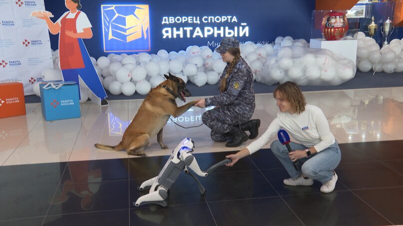Масштабная всероссийская ярмарка вакансий прошла в Калининграде