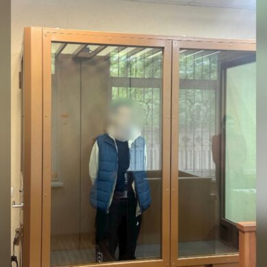 В Калининграде взяты под стражу трое подростков 16 и 17 лет, которые обвиняются в покушении на теракт на железнодорожной станции