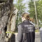 Завели уголовное дело по факту падения дерева на 21-летнюю калининградку
