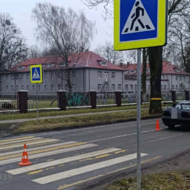 В отношении калининградца возбуждено уголовное дело после ДТП с пострадавшим пешеходом