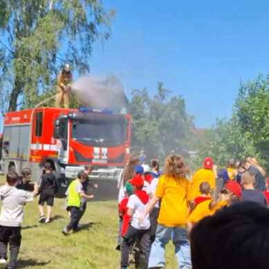 В регионе прошел ежегодный областной смотр-конкурс «Горячие сердца»