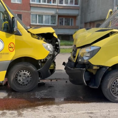 В Калининграде на улице Интернациональной столкнулись два маршрутных микроавтобуса